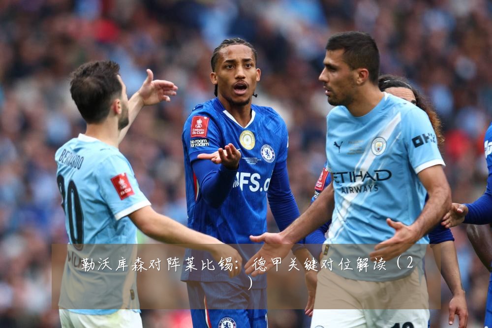 勒沃库森对阵莱比锡：德甲关键对位解读（2）