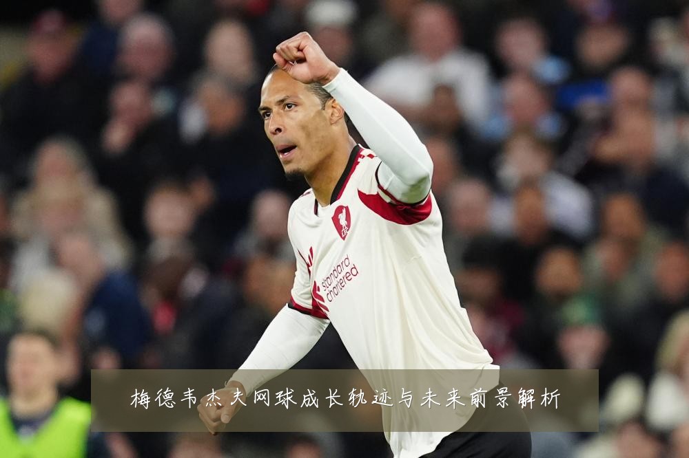梅德韦杰夫网球成长轨迹与未来前景解析
